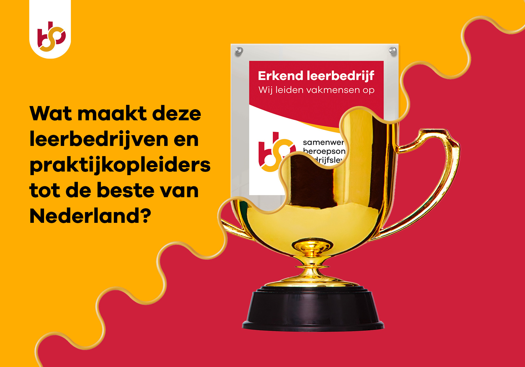 header afbeelding artikel