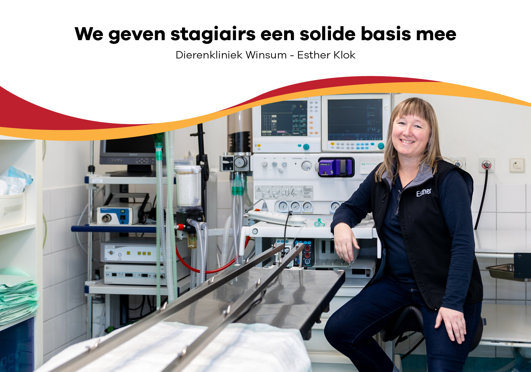 header afbeelding artikel
