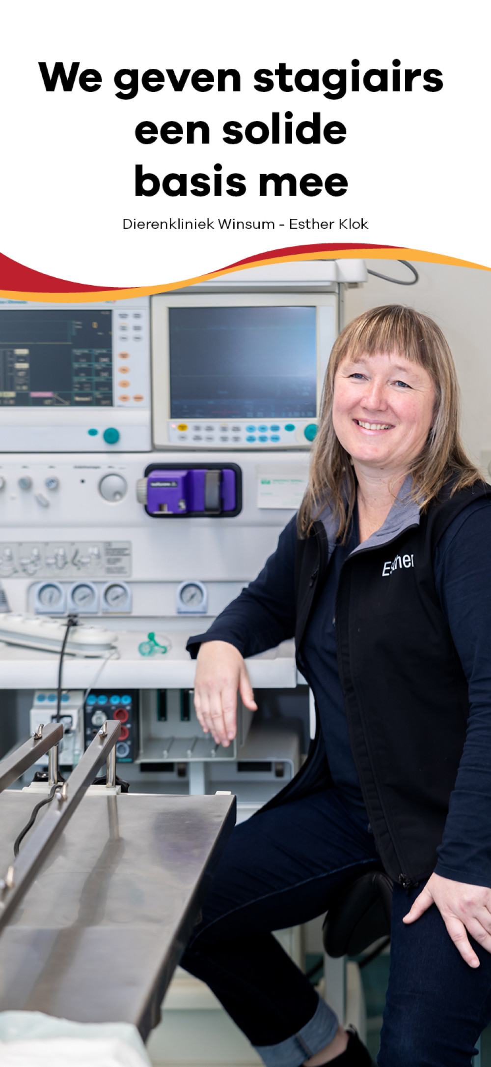 header afbeelding artikel