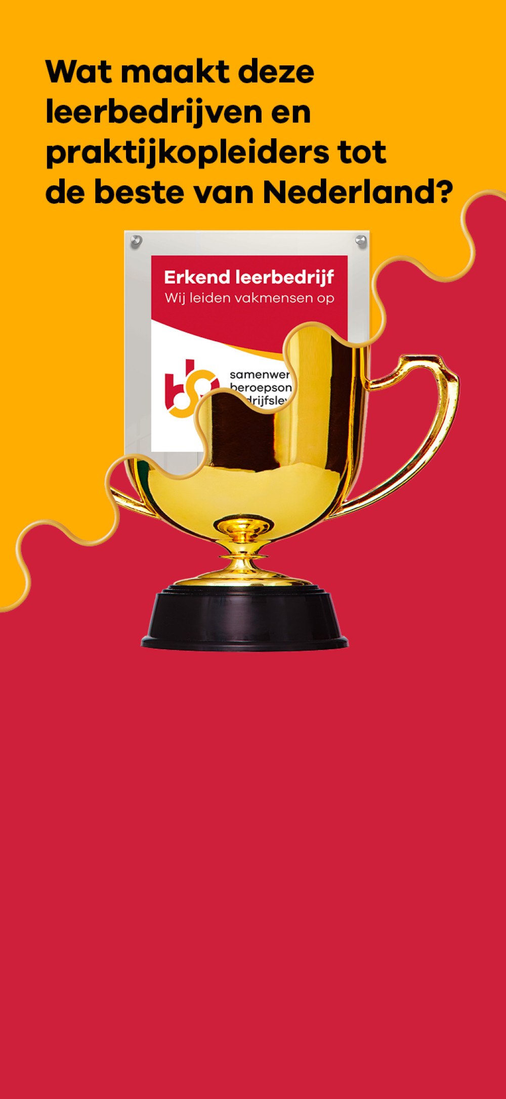 header afbeelding artikel